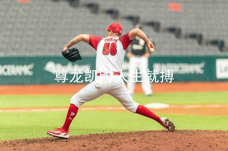 尊龙凯时人生就搏